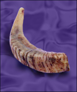 Shofar