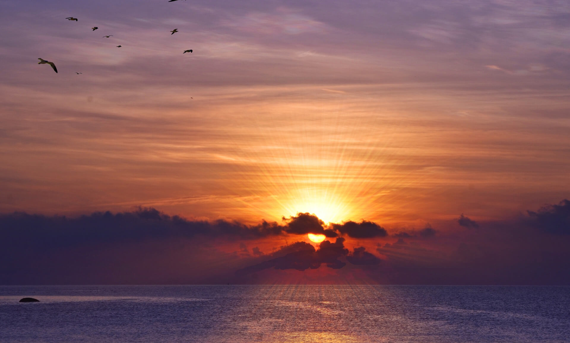 sunrise – enewsletter – Benny Hinn Ministries sunrise - enewsletter - Benny Hinn Ministries