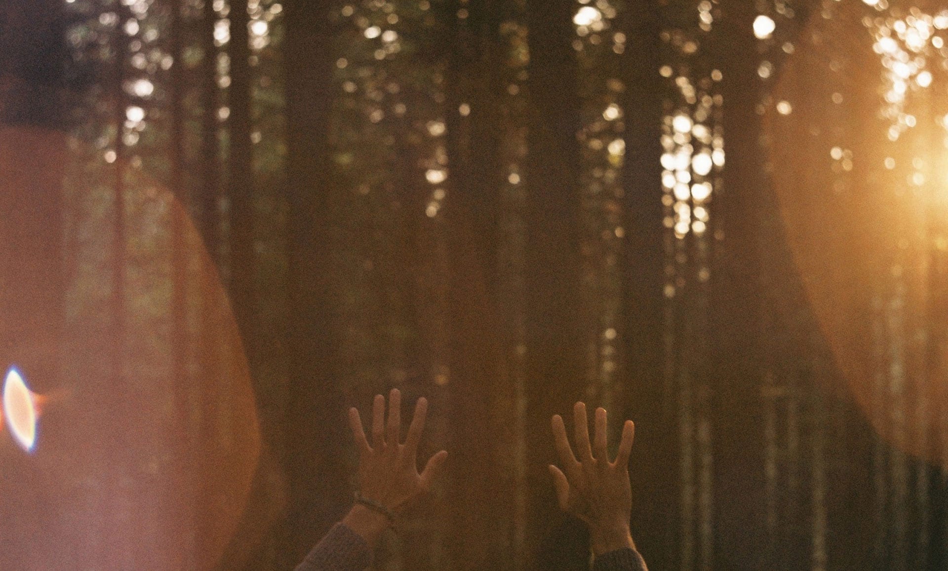 man in forest