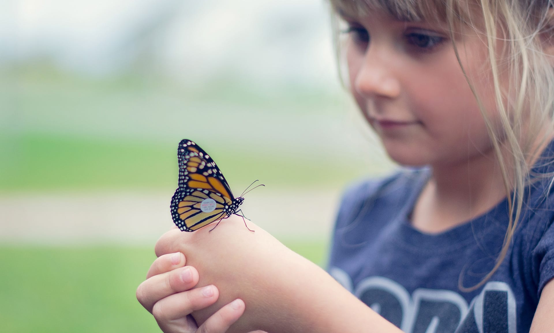 Child with butterfly