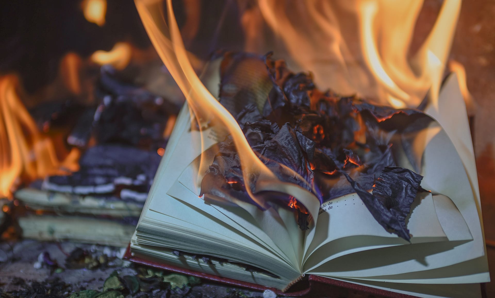 Book Burning eblast Benny Hinn Ministries Book Burning