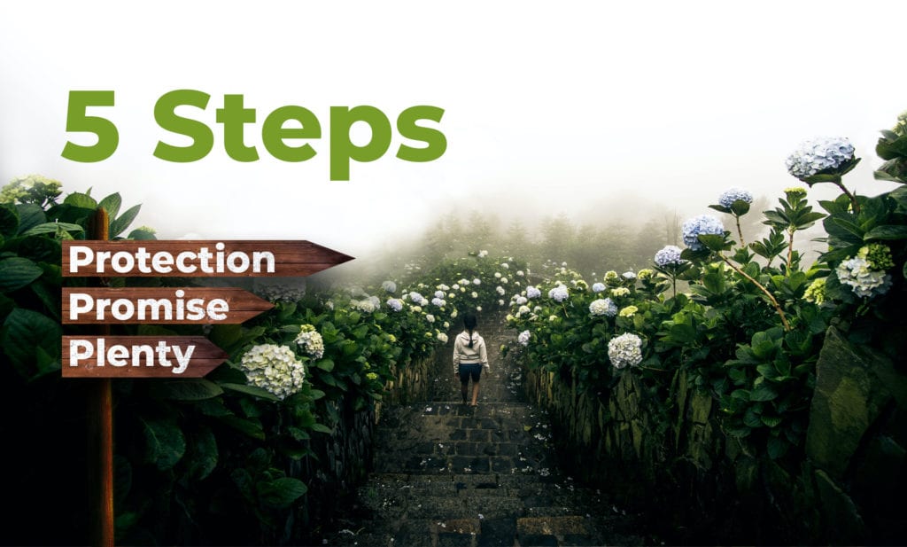 5-steps enewsletter Benny Hinn Ministries 5-steps