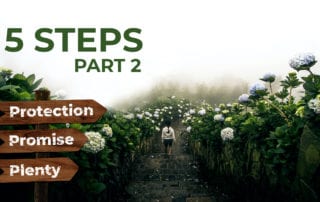5-steps p2