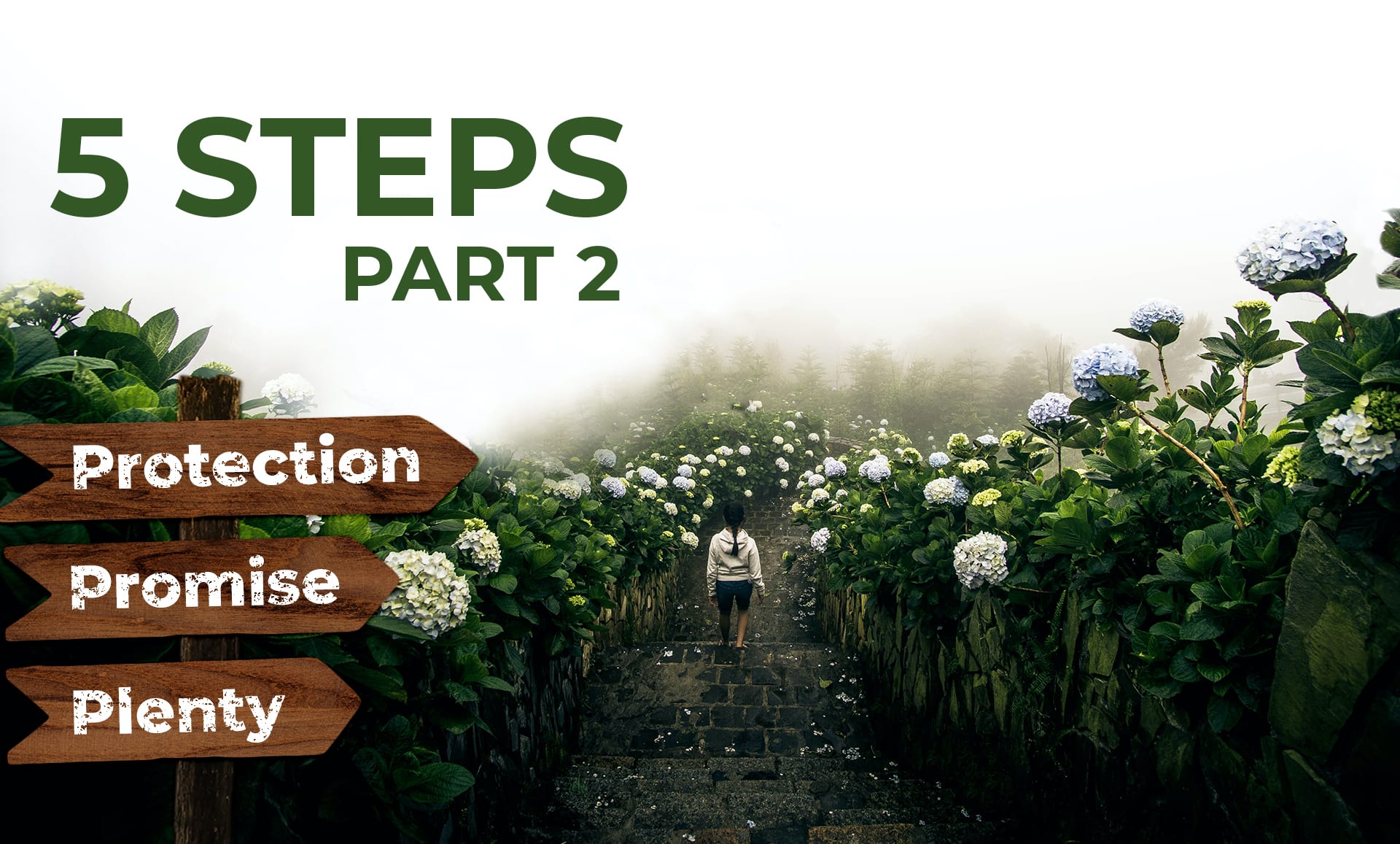 5-steps p2