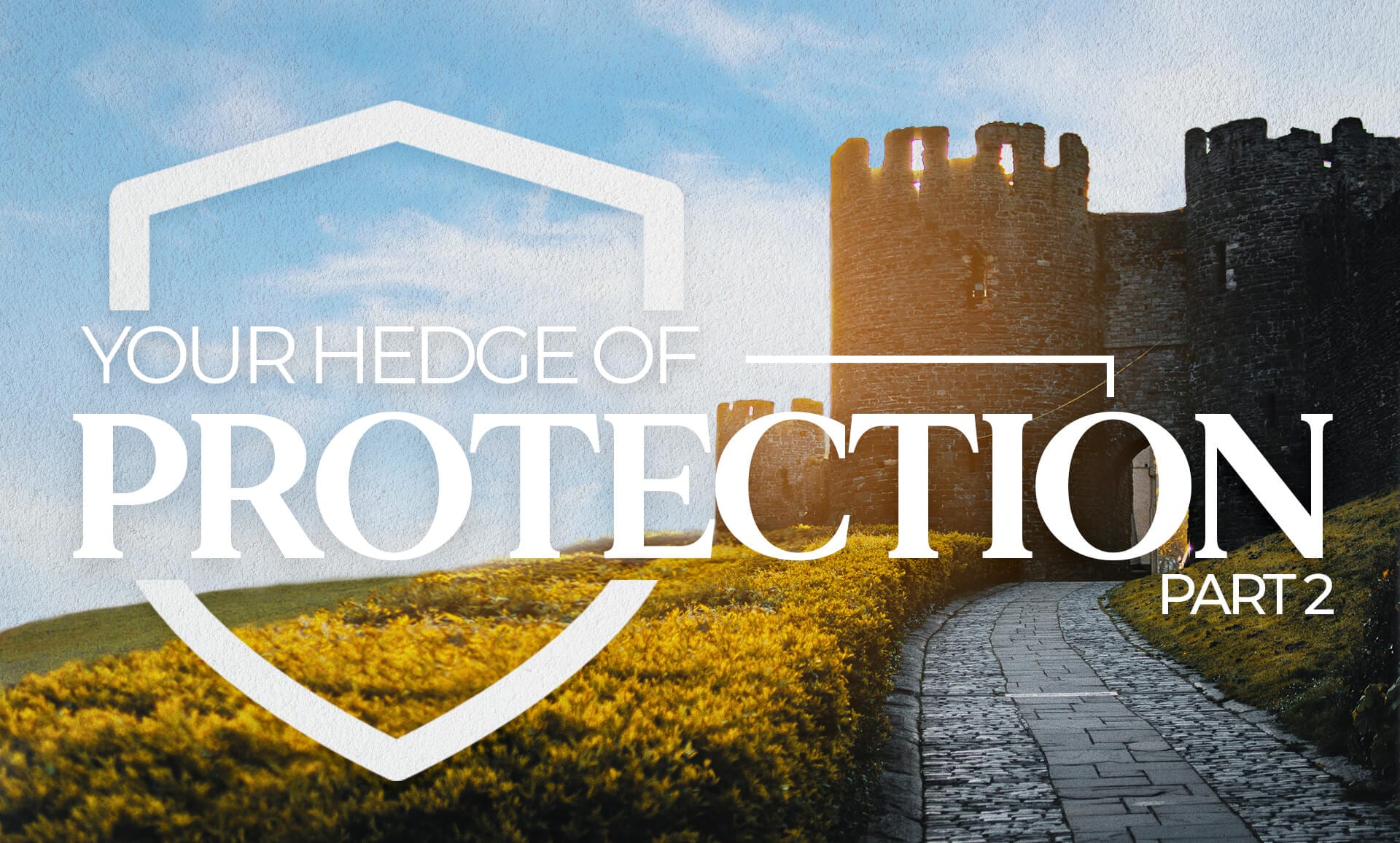 Your Hedge of Protection - eNewsletter - Benny Hinn Ministries