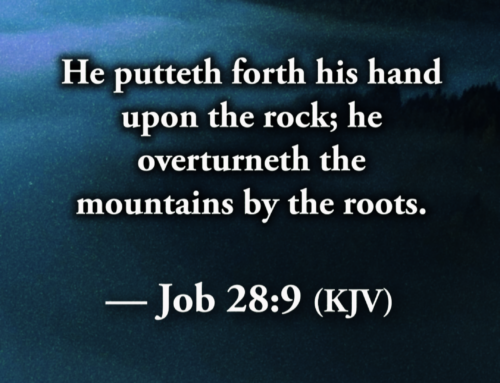 Clothed With Prayer: When the Hidden Place Becomes the Place of Power