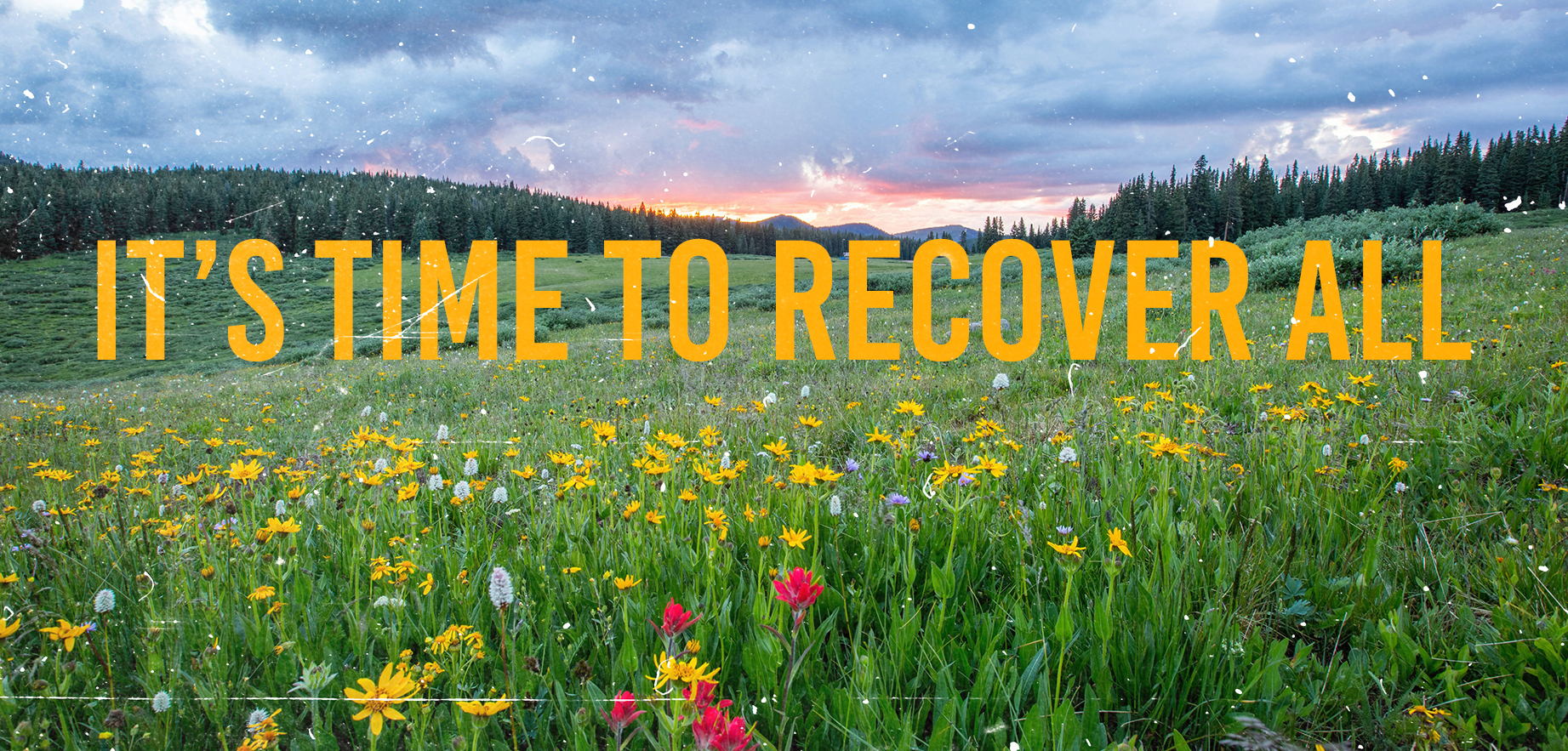 time-to-recover-all
