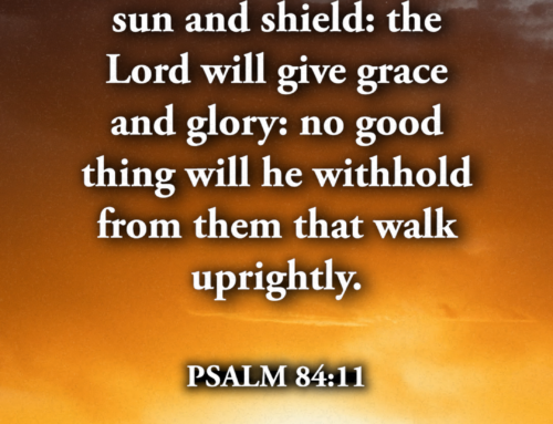 No Good Thing Will He Withhold