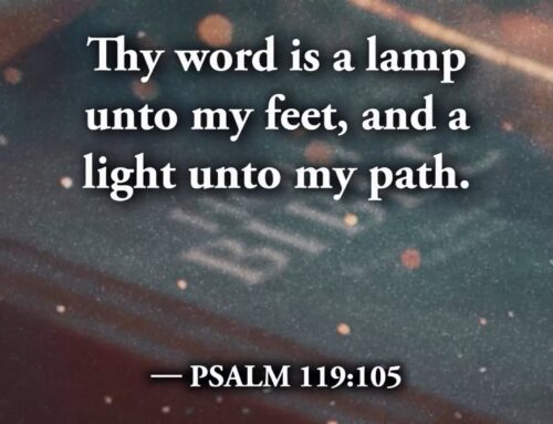 Let His Word Light Your Way